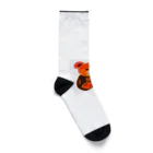 幸せのおすそわけのはらぺこクマさん Socks