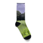 dadalio designの夢の跡 Socks