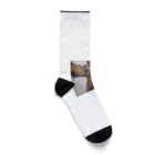 Stylishの美の響き Socks