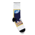 Kasabrankaの惑星を見る猿の親子 Socks