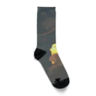 sunny-sideのSKY＆CLOUD Socks