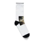 ki1962の大天使ラファエルのプレミアムグッズ Socks