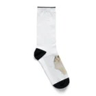 cocomaryのラガマフィンmary Socks