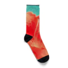 DGDGのゼラニウムの花 Socks