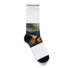 qi6（恐竜グッズ販売中！🦖）の炎を吐き出すヴェロキラプトル Socks