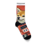 スペースドッグ・ラボのスペース柴犬探検隊 Socks