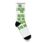 フジノワダイの草 Socks