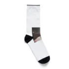 kariginuの森の冒険 Socks