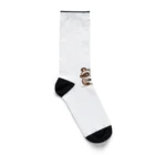 mitsu5872のほのぼのアライグマ家族物語 Socks