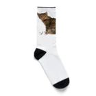 tkmhw832のソックス Socks