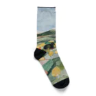 asataku gardener (alice garden design)の穏やかな竜 Socks