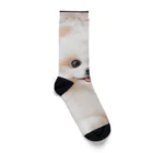 LALAの白ポメグッズ Socks