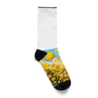 PiXΣLのvibrant yellow / type.1 Socks