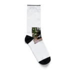 クロコダイリテンのFlowerWANI Socks