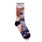 ParadigmStar　パラダイムスターの桜咲く華の学生猫 hana Socks