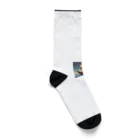 にんにんにんじゃの熊海賊 Socks