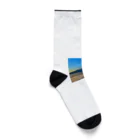 HIBANA55の富士山 Socks