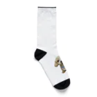 21841のmayo Socks