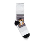 Tomo_Bluebellの猫　卒業　2024　卒業旅行 Socks