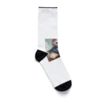 キャリーの紳士猫 Socks