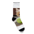 SkyBlueのもふもふな子猫 Socks