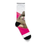 itsukiancoroのアイドルネコのアンちゃん Socks