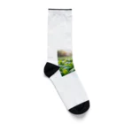 大地の宝物の畑のほうれん草に感動するお姉さん Socks