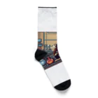 fashionartistarの実験をしているサル Socks