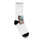 Caneletの学んでいるあざらし Socks