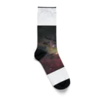 S204_Nanaのアンタレス Socks