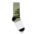 ドットcomの盆栽くん Socks