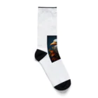 Fujika145のFlutterdance Socks