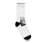 ONE POINTのドローンの自然の偉大さを。 Socks