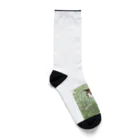 にゃんこーねこの草の中の猫 Socks