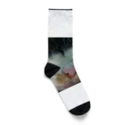 fashion-sametarouのミーちゃん2 Socks