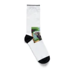 shoheiiwasaの動物園のゾウ Socks