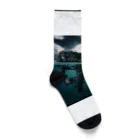 NoweのDinosaur fossils island Socks