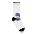 hakumenhonのサーフィンするペンギン第2弾 Socks