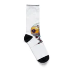 Sachi0625のレトロ戦闘ロボットＲ Socks