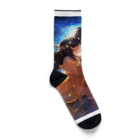 AQUAMETAVERSEの七夕の夜彦星と織り姫　なでしこ1478 Socks