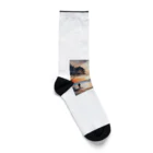 古賀新太郎の夕日に染まる海を背 Socks