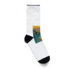 AQUAMETAVERSEの昼寝　なでしこ1478 Socks