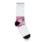 ChuChuChu♡のエレガンス猫 ～ヌコ～ Socks