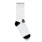 ニゴ猫　shopの記者会見 Socks