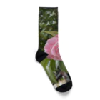 AQUAMETAVERSEの花ブローチ アメジスト2846 Socks