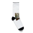 Ten117のアメショと花 Socks