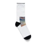 秋山せれなの空のグラデーション Socks