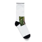 Shigeto Galaxy2hbの森の猫 Socks