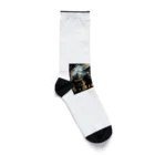 studio eizoの村人がミリタリーファッションに変身！ Socks