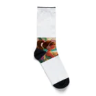 mariotrexのKASUMI Socks